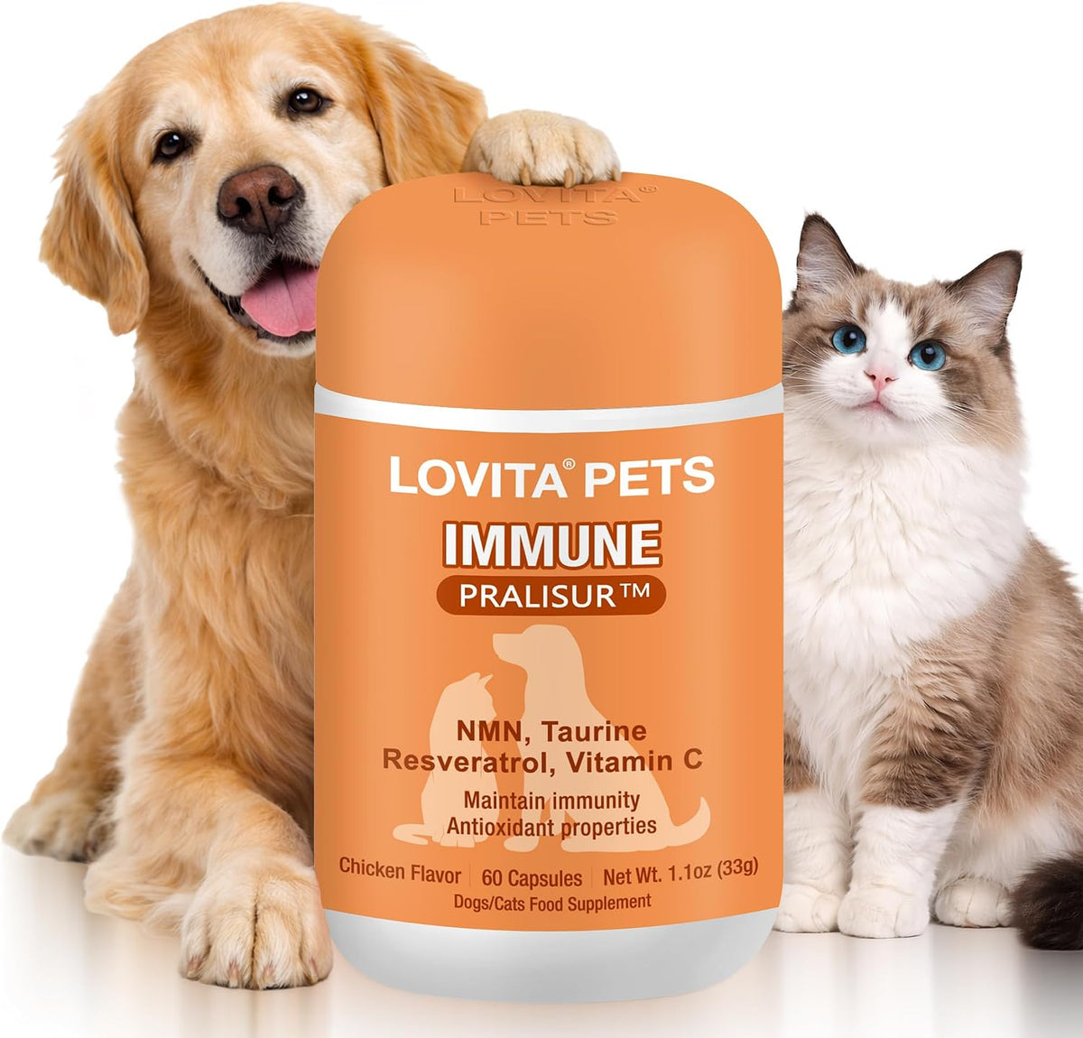 Lovita Pets Senior Wellness Capsules front of bottle packaging