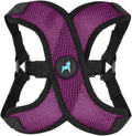 Gooby Comfort X Step In Lite Dog Harness front view on a small purple pup.