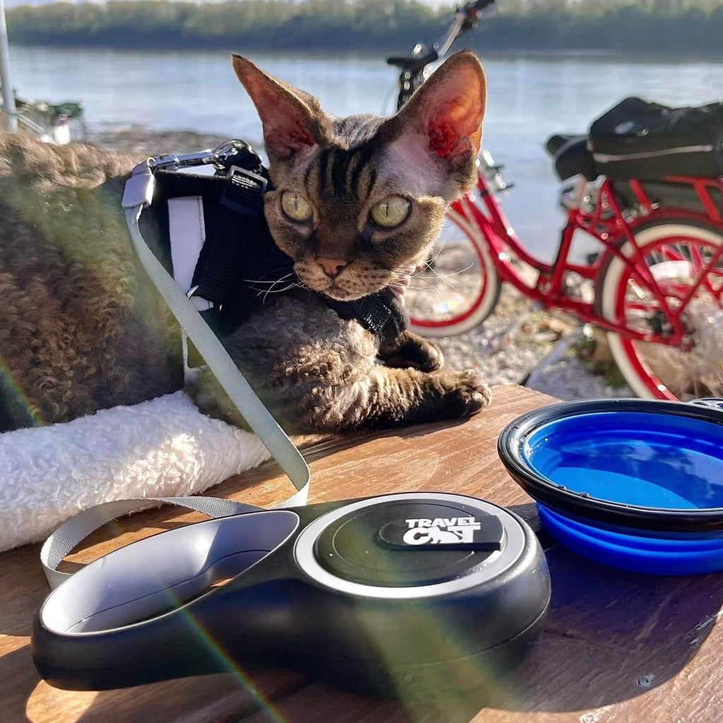 Lifestyle view of the Travel Cat black 10 foot retractable leash ready for use.