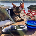 Lifestyle view of the Travel Cat black 10 foot retractable leash ready for use.