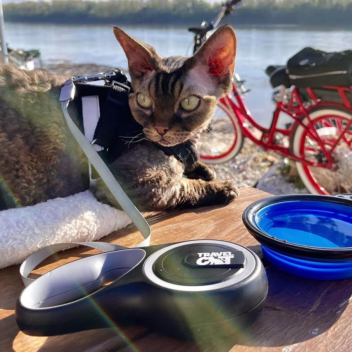 Lifestyle view of the Travel Cat black 10 foot retractable leash ready for use.