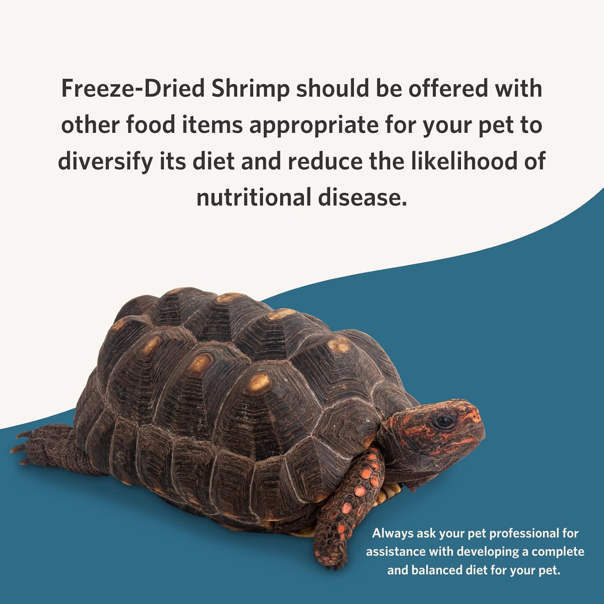 Fluker's aquatic turtle and fish food bottle