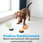 Puppy learning behavior support using interactive dog word buttons