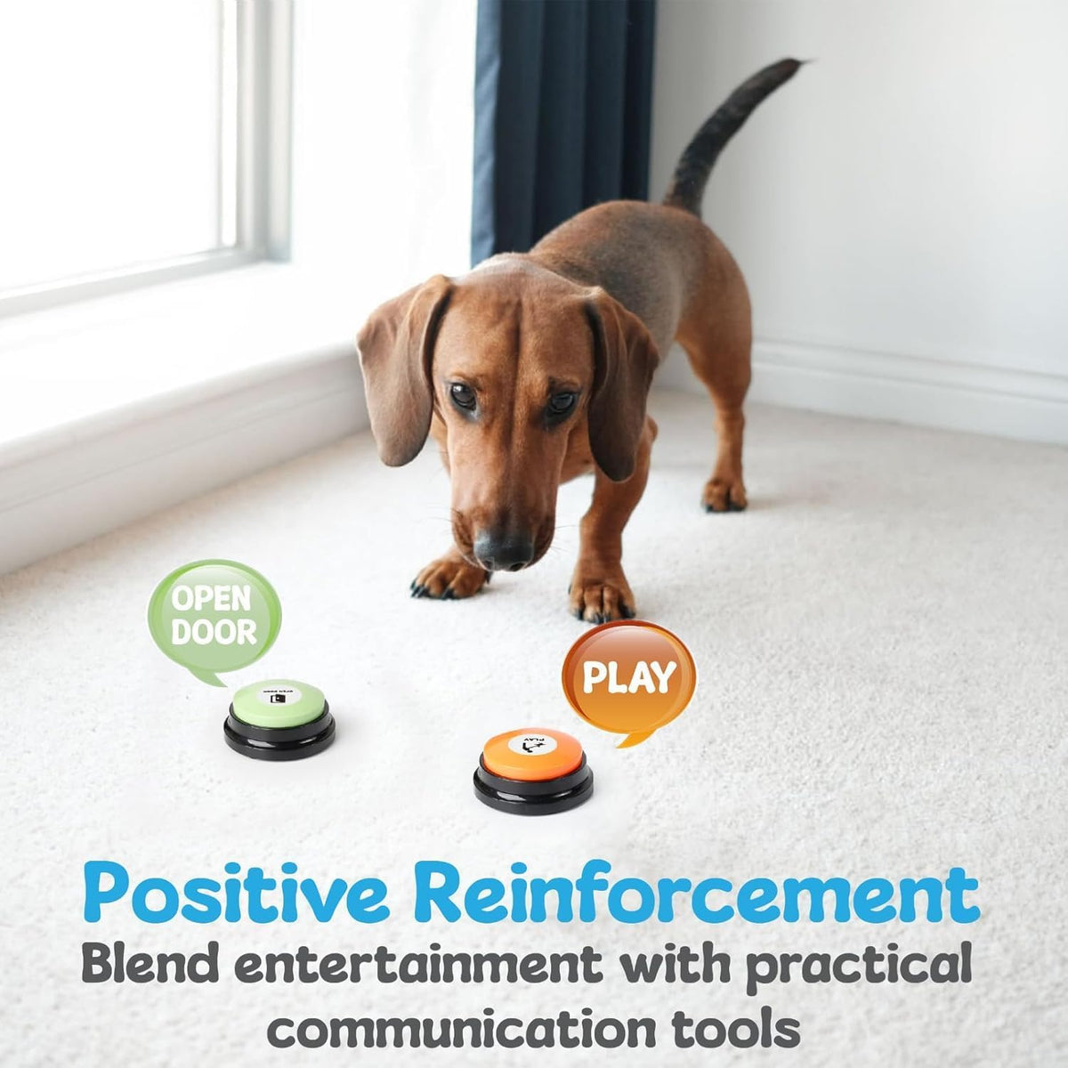 Puppy learning behavior support using interactive dog word buttons