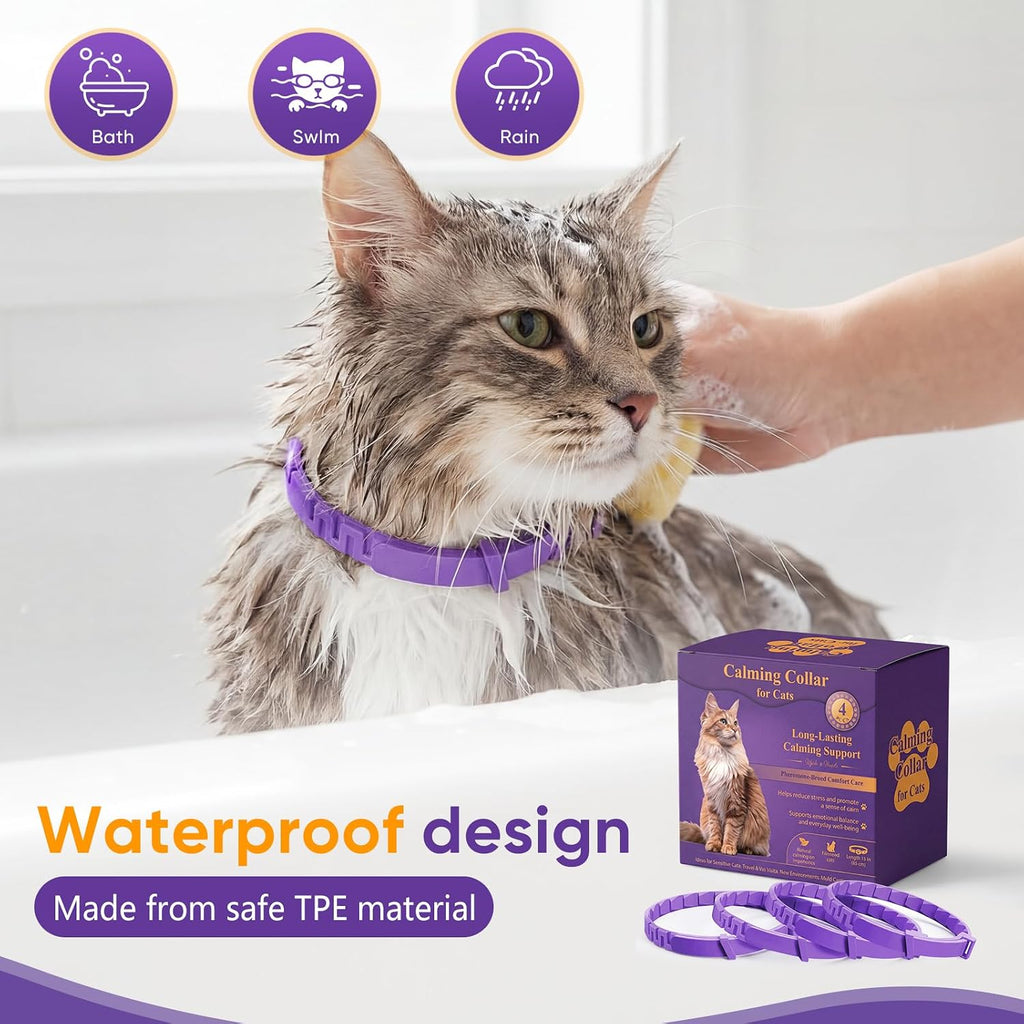 A relaxed domestic cat wearing the pheromone stress relief neckband in a peaceful home environment.