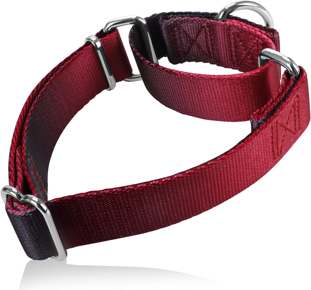 Axdvk performance dog gear limited cinch safety loop view