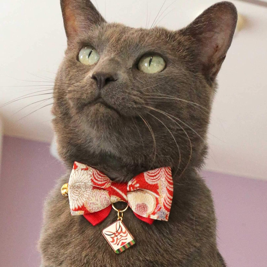 Necoichi Red Bow Tie Cat Collar lifestyle display