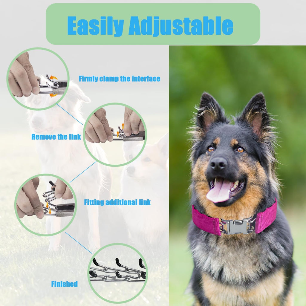 Authentic imported HAESINPA dog collar showing interlocking link mechanism