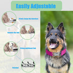 Authentic imported HAESINPA dog collar showing interlocking link mechanism