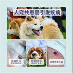 Premium imported pet aromatherapy diffuser buckle showing the secure silicone attachment loop