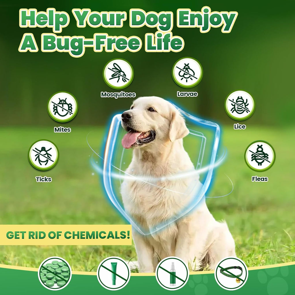 Close up of natural ingredients label on Cudory pet supplement packaging.