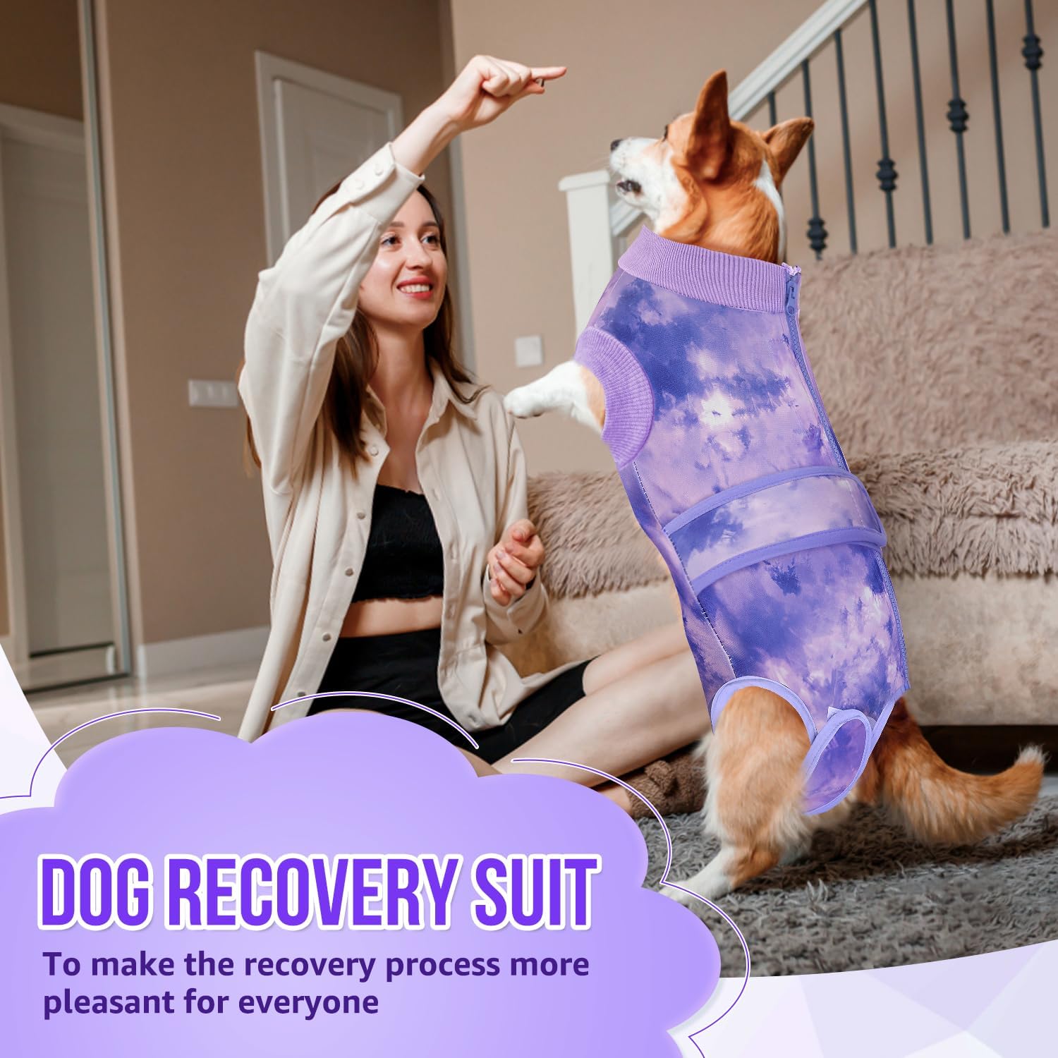 A dog resting comfortably indoors wearing the purple tie-dye alternative e-collar recovery suit
