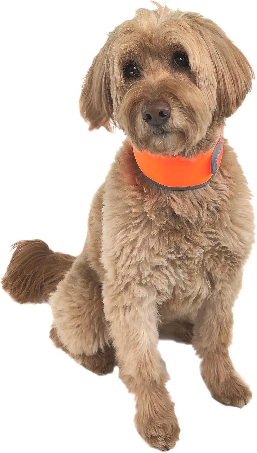 CoolerDog imported USA pet cooling collar premium packaging texture