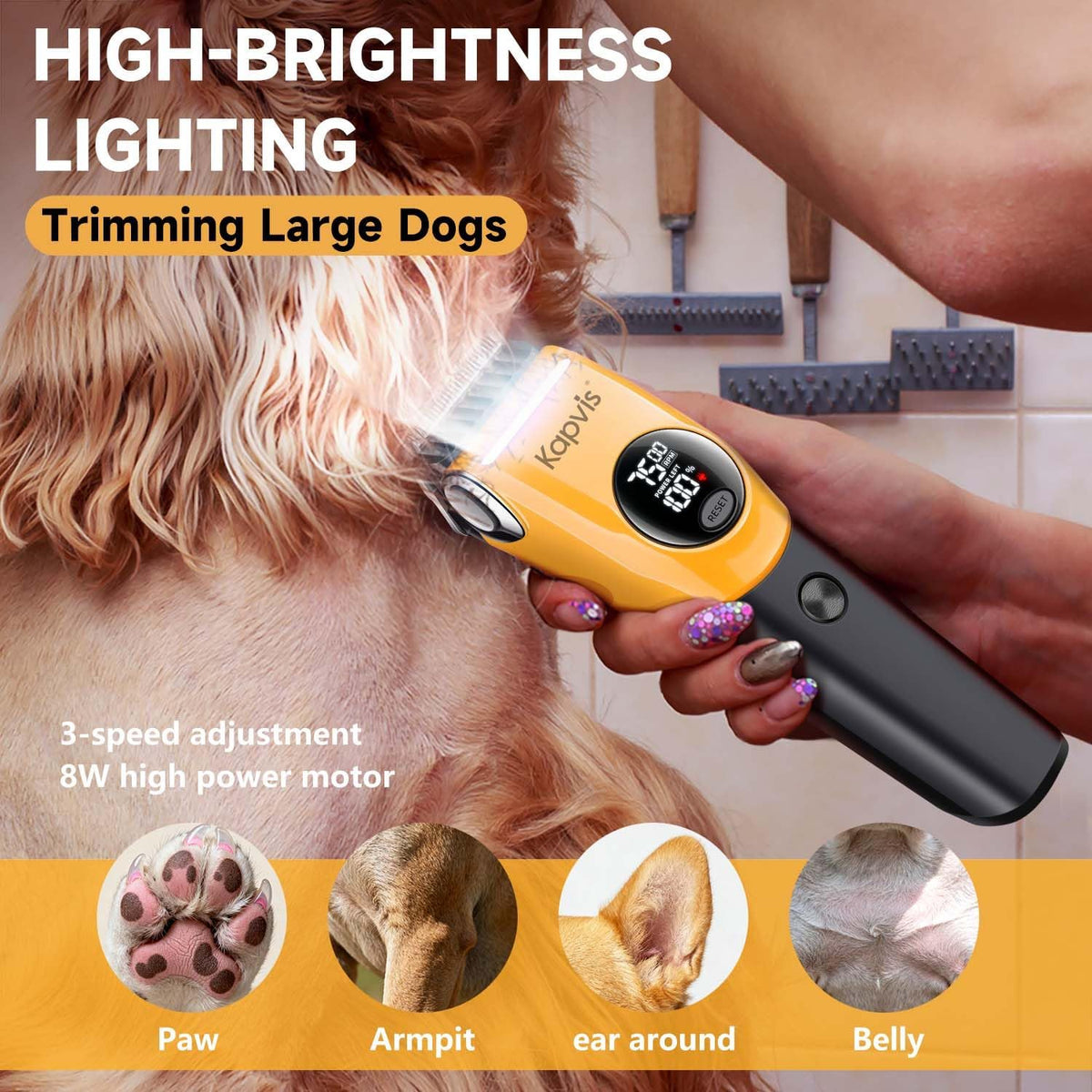 Kapvis dog clippers for grooming thick hair showcasing the built-in precision LED light illuminating the blade.