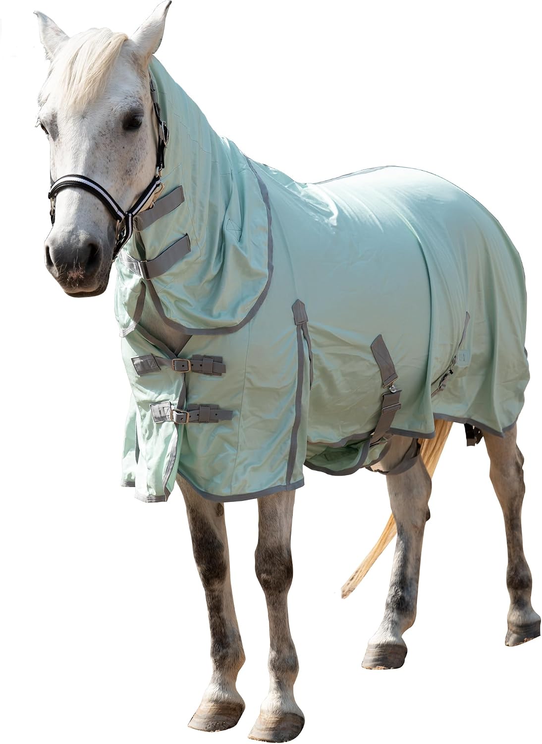 Gallopoff horse fly sheet green 75 full body view on a horse