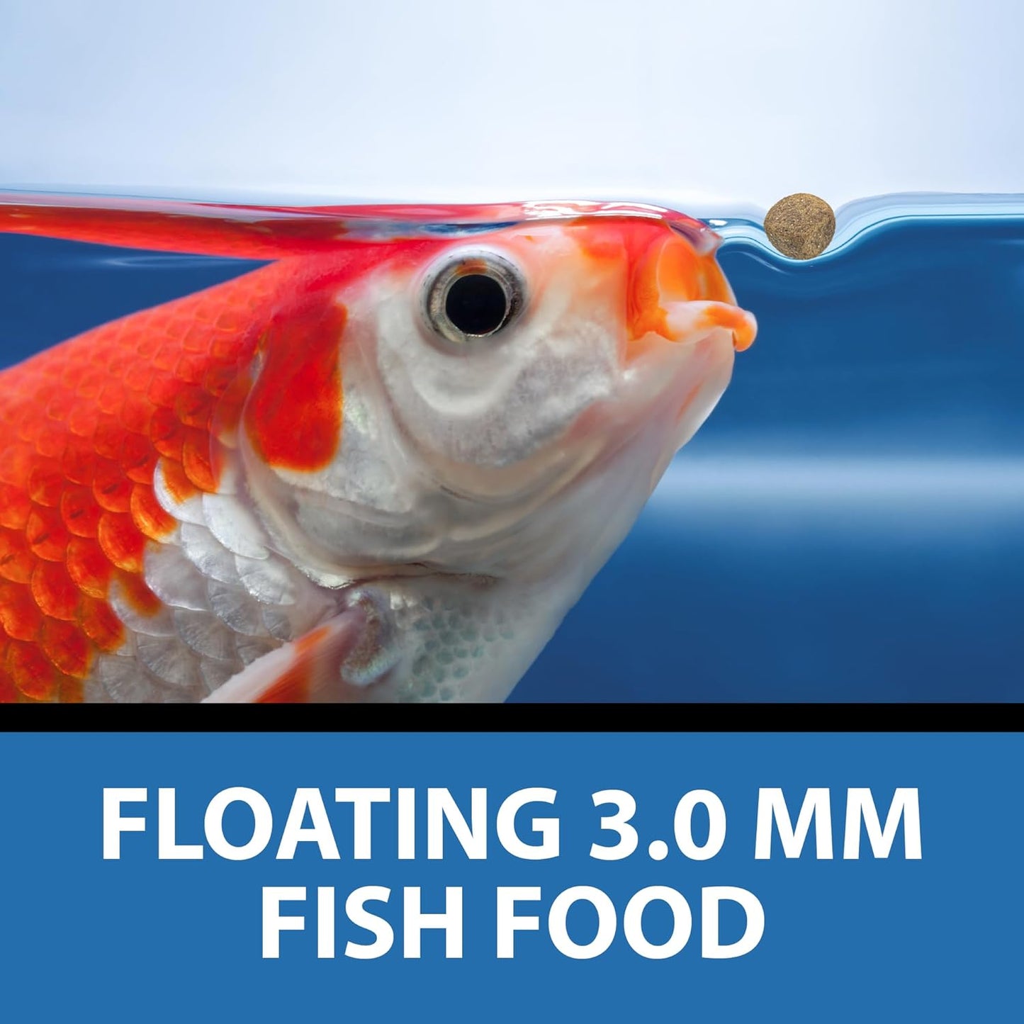 Koi fish swimming near surface with CrystalClear pellets