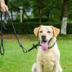 Heavy duty twist lock pet lead handle view for comfortable grip