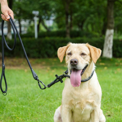 Heavy duty twist lock pet lead handle view for comfortable grip