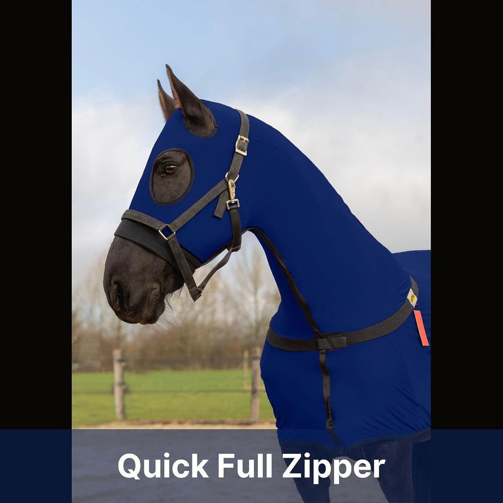 Resistance horse sheet with heavy duty belly wrap buckle