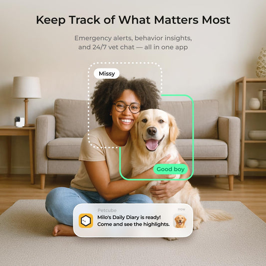 Petcube home security pan tilt camera rotating to show full room coverage