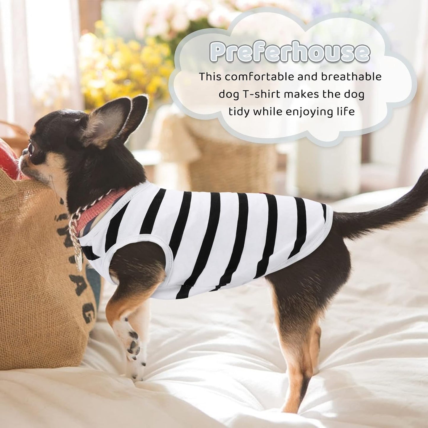 Cat wearing comfortable Preferhouse striped vest
