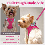 Rabbitgoo comfortable matching dog leash with padded handle view