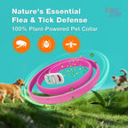 Two pink ZingZap collars for dogs and cats