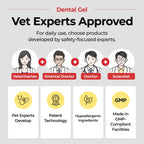 Professional pet dental care kit featuring Jayu Pet gel