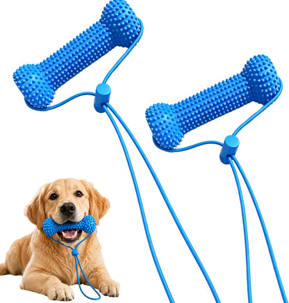 Generic Dual-Action Canine Dental Prop front view highlighting the blue textured rubber chew section.