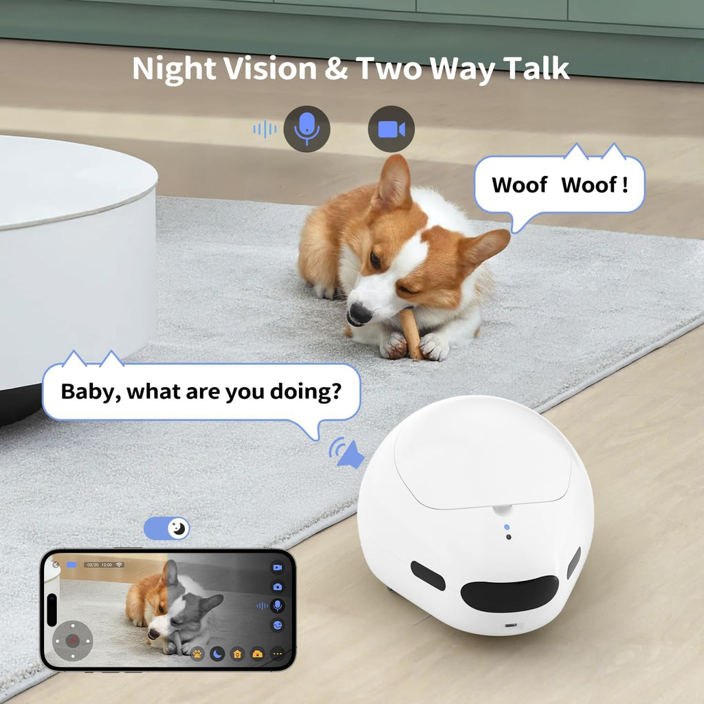 Cat playing with red dot laser from pet robot