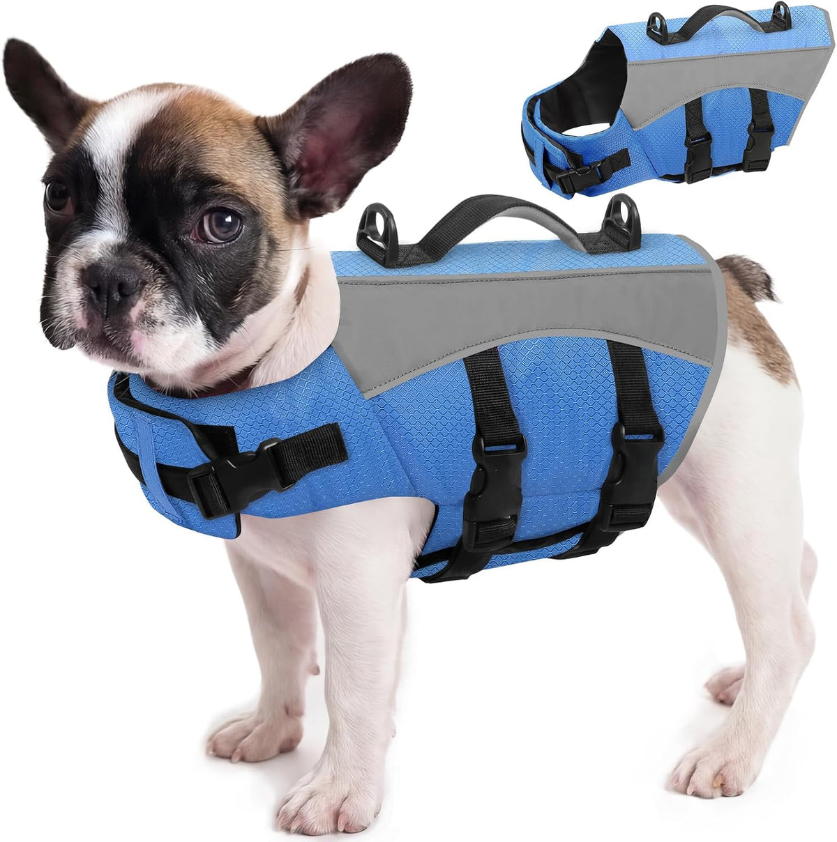 Queenmore Small Dog Life Vest in blue color front view on a puppy
