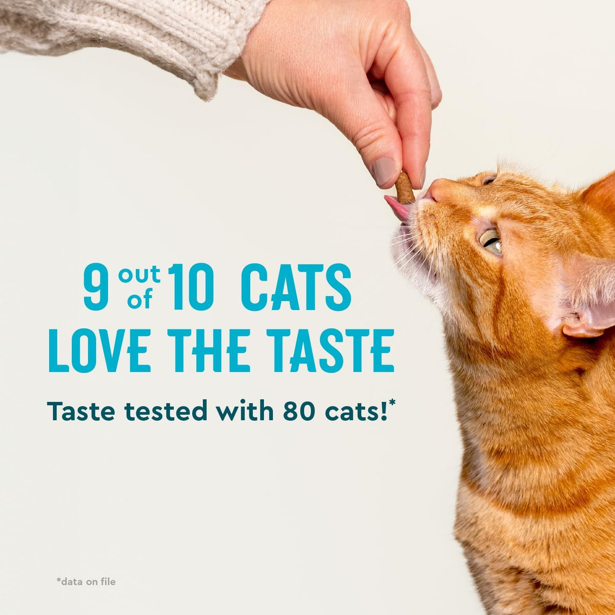 Authentic USA imported VetIQ cat anxiety relief treats package for thunderstorms and travel