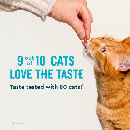 Authentic USA imported VetIQ cat anxiety relief treats package for thunderstorms and travel