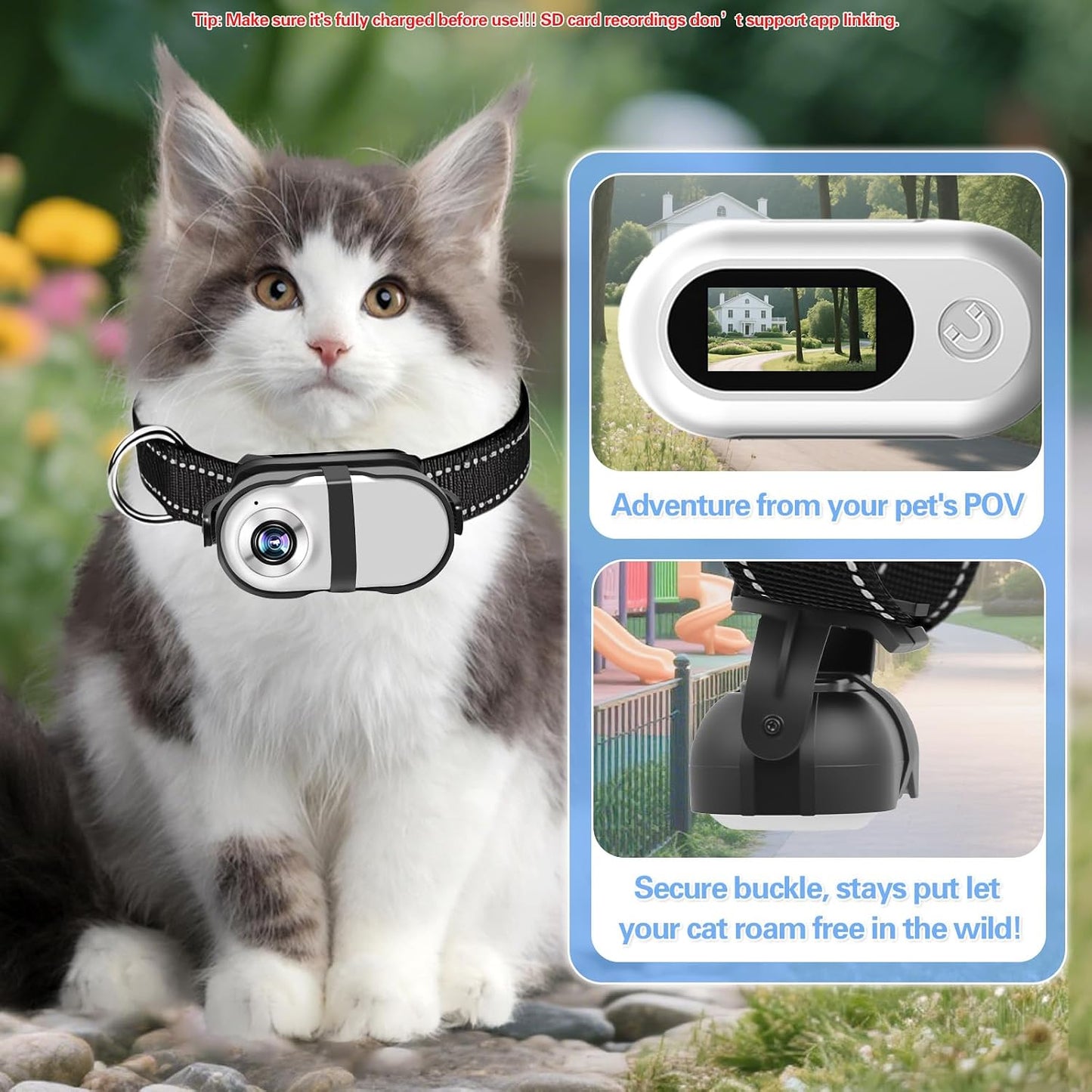Prrprr mini sport camera mounted on adjustable black collar