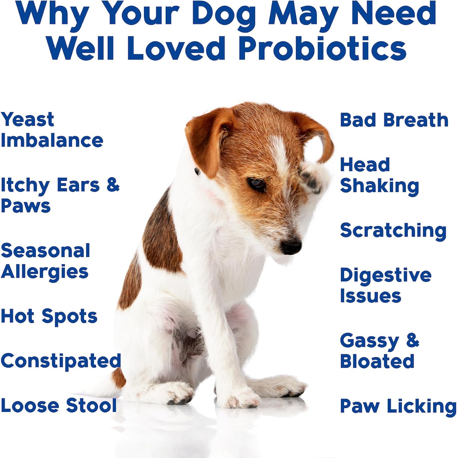 Close up of grain free dog supplements for occasional diarrhea and gas relief