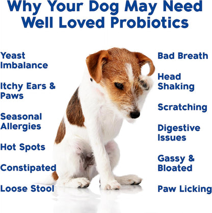 Close up of grain free dog supplements for occasional diarrhea and gas relief