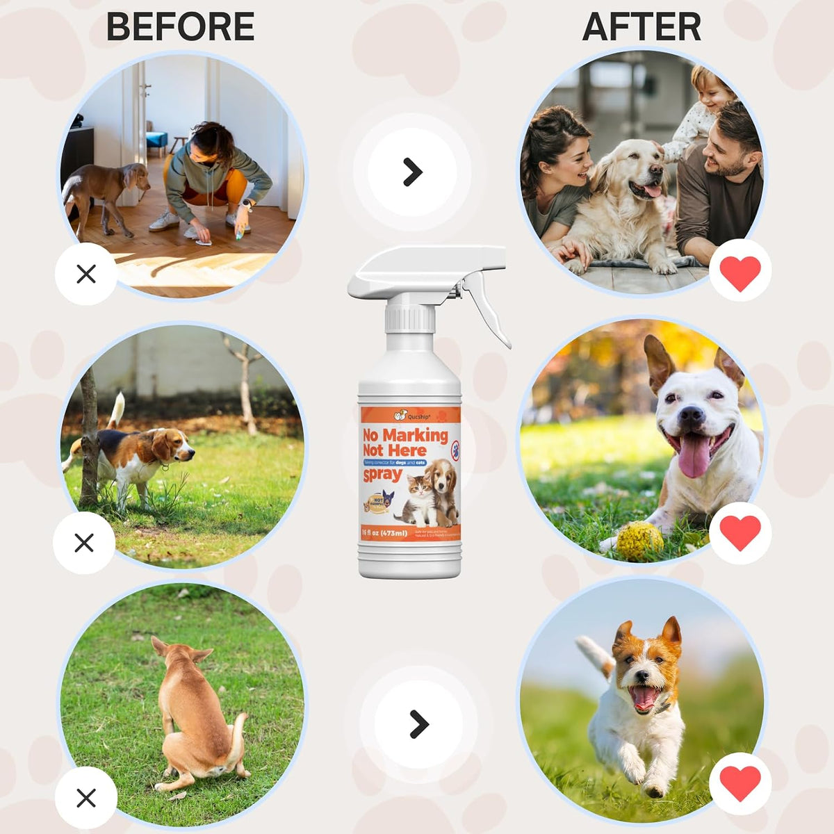 Qucship spray nozzle mechanism for easy pet training application