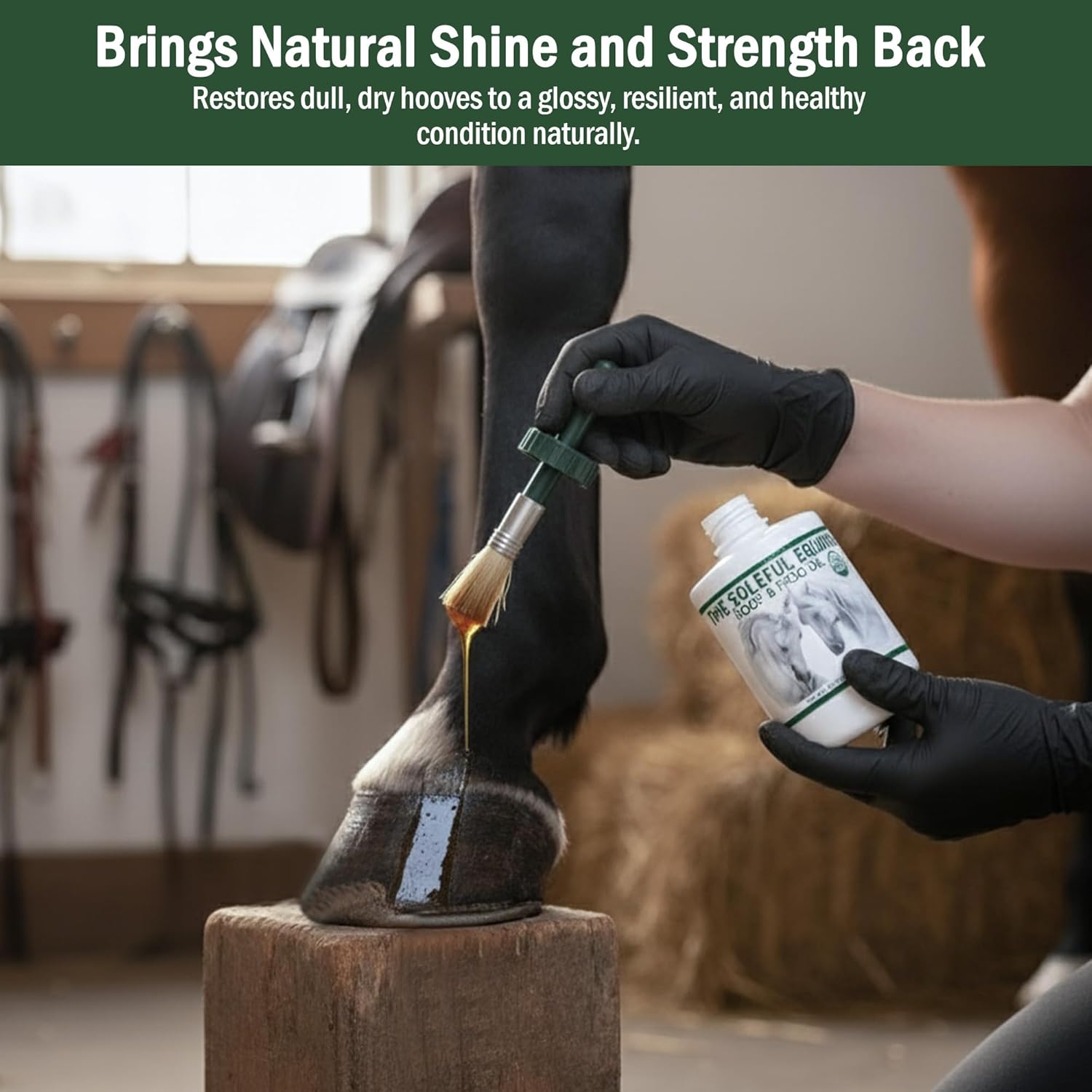 Applying organic horse hoof oil to prevent cracked hooves and promote growth