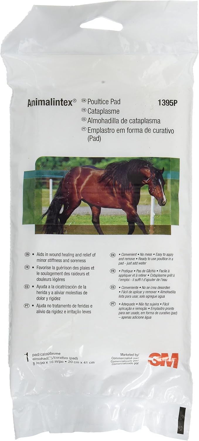 3M Animalintex poultice pad for equine hoof and leg abscess care