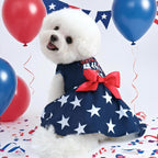 Close up shot of the delicate satin bow and star print on the blue dog dress