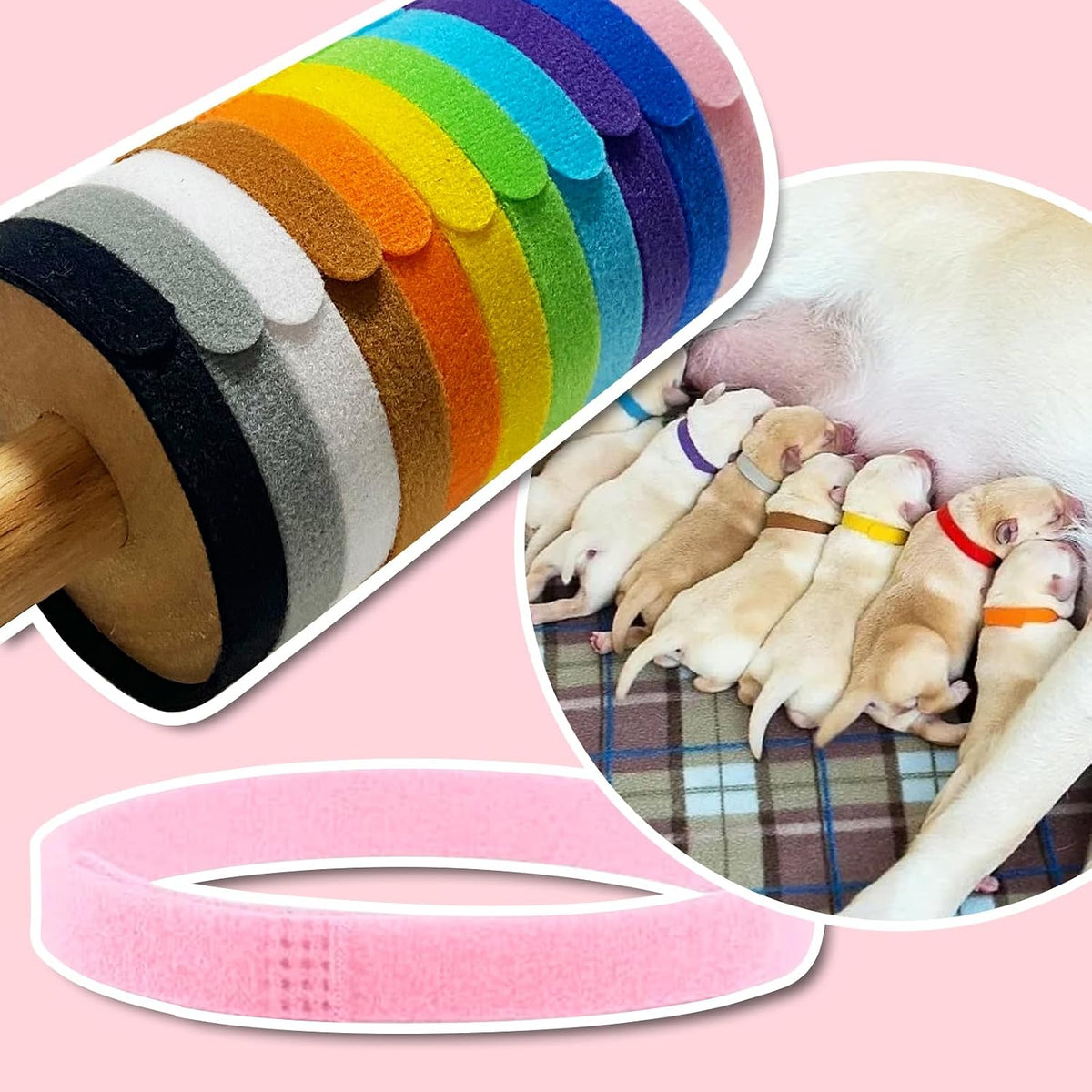 Pack packaging of the authentic imported Bilkeru twelve piece adjustable dog litter collar accessory kit.
