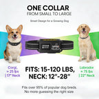 Safehalo GPS wireless dog collar components including contact points for effective boundary training.