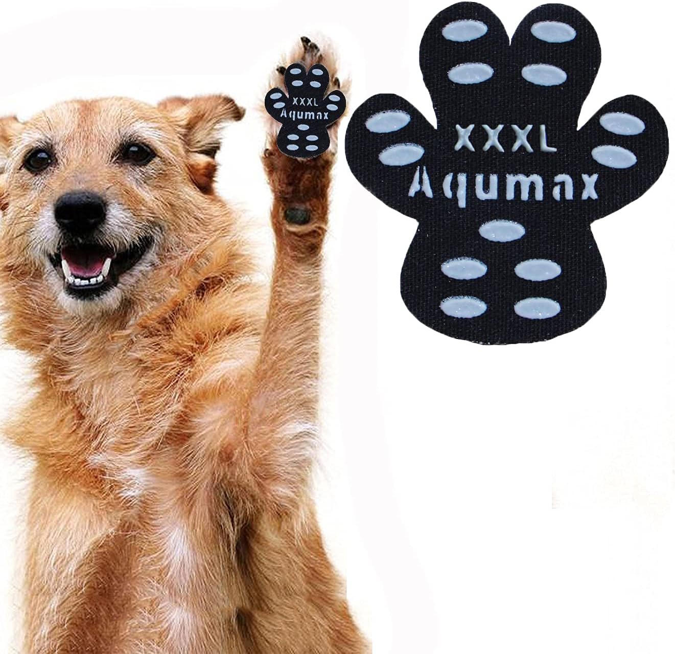 Side profile of dog using anti-slip paw traction stickers