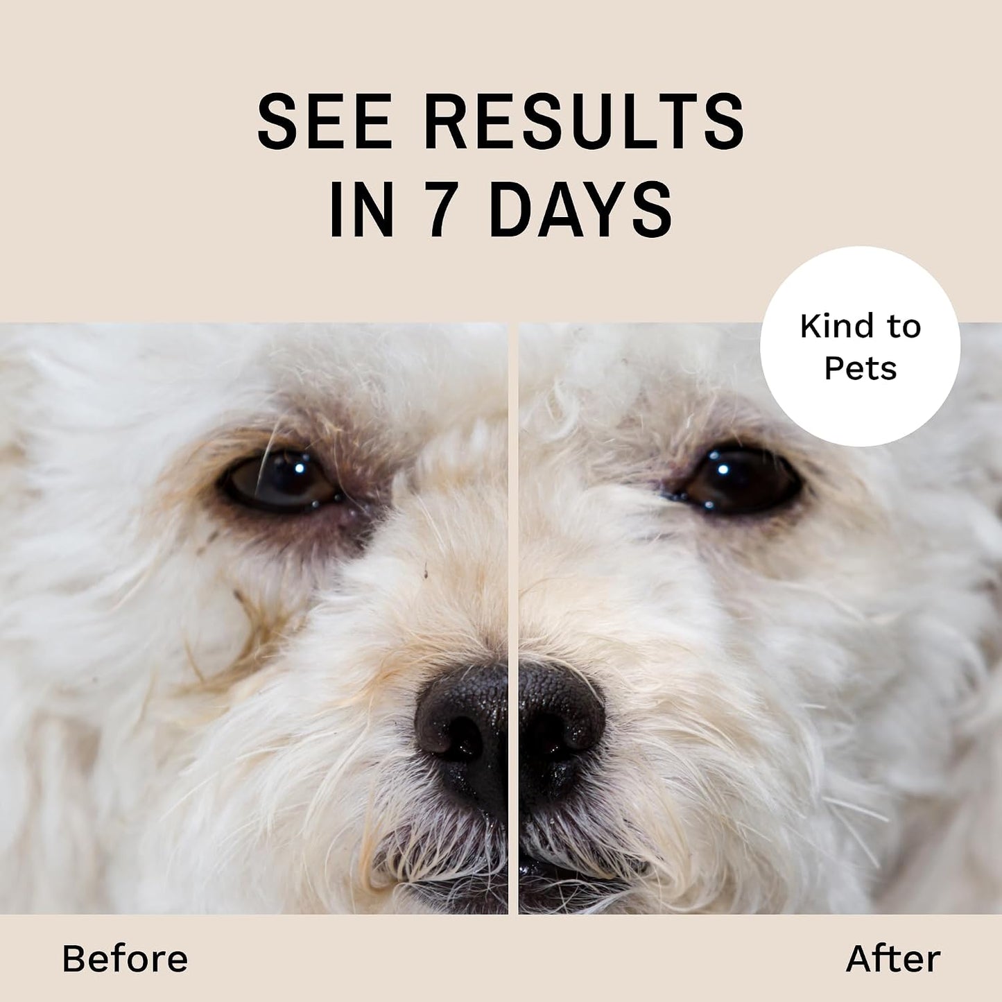 Dog eye care kit imported from USA for white and light colored breeds.