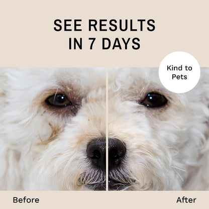 Dog eye care kit imported from USA for white and light colored breeds.