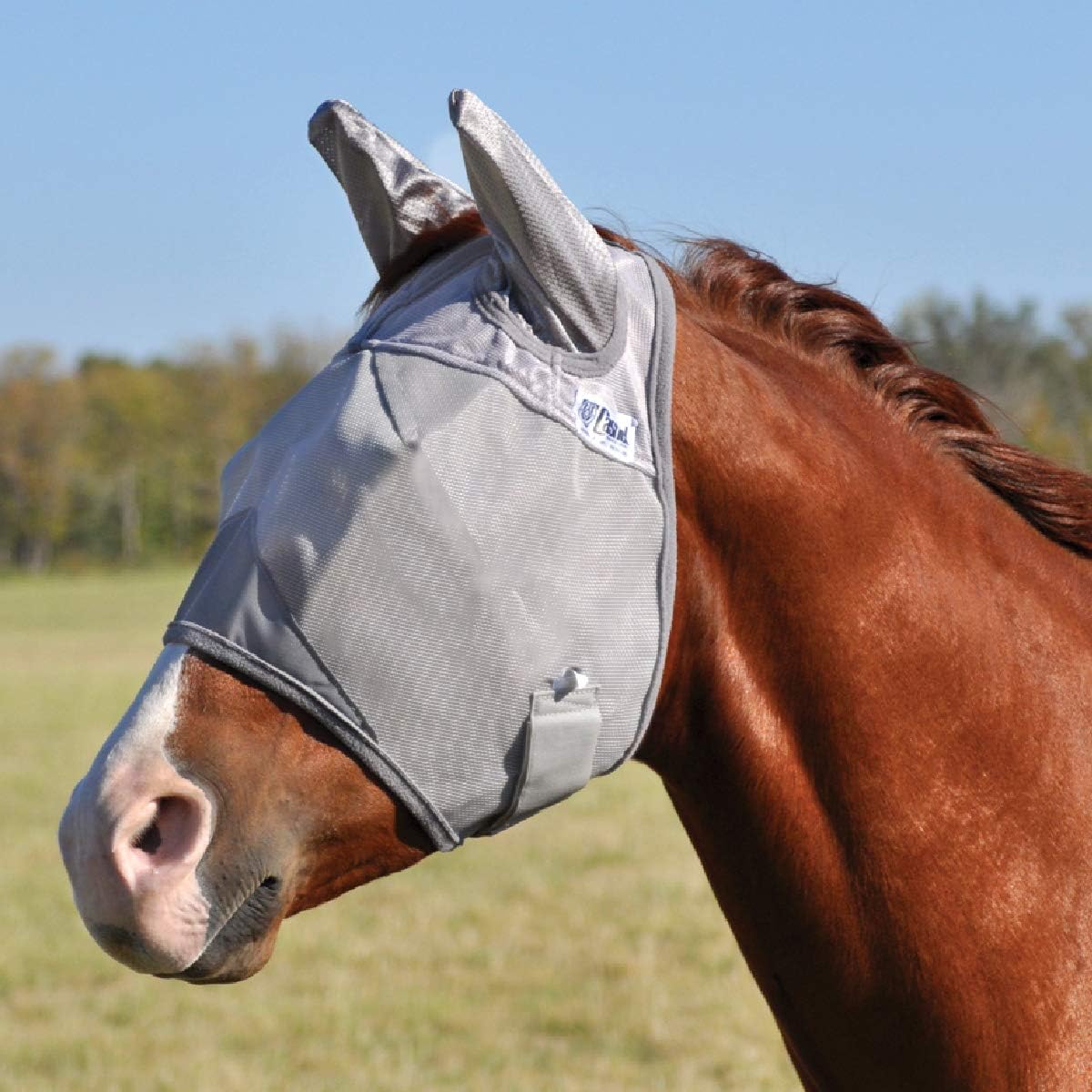 Cashel equine fly mask showcasing long nose protection