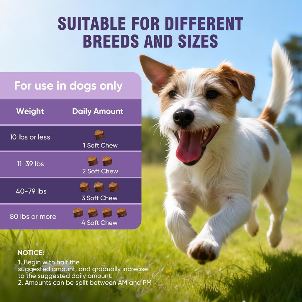 Good Manufacturing Practices certified allergy chews container back label instructions.