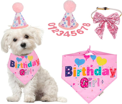 ADOGGYGO Dog Birthday Party Supplies pink small size kit front view