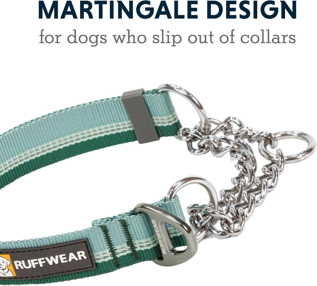 Escape proof professional training dog collar close up view