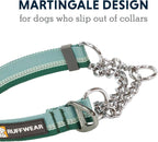 Escape proof professional training dog collar close up view